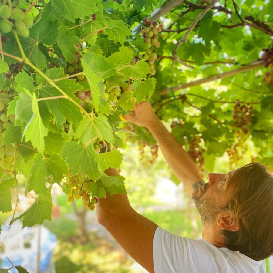 Masseria Vittoria Acaya Dış mekan fotoğraf