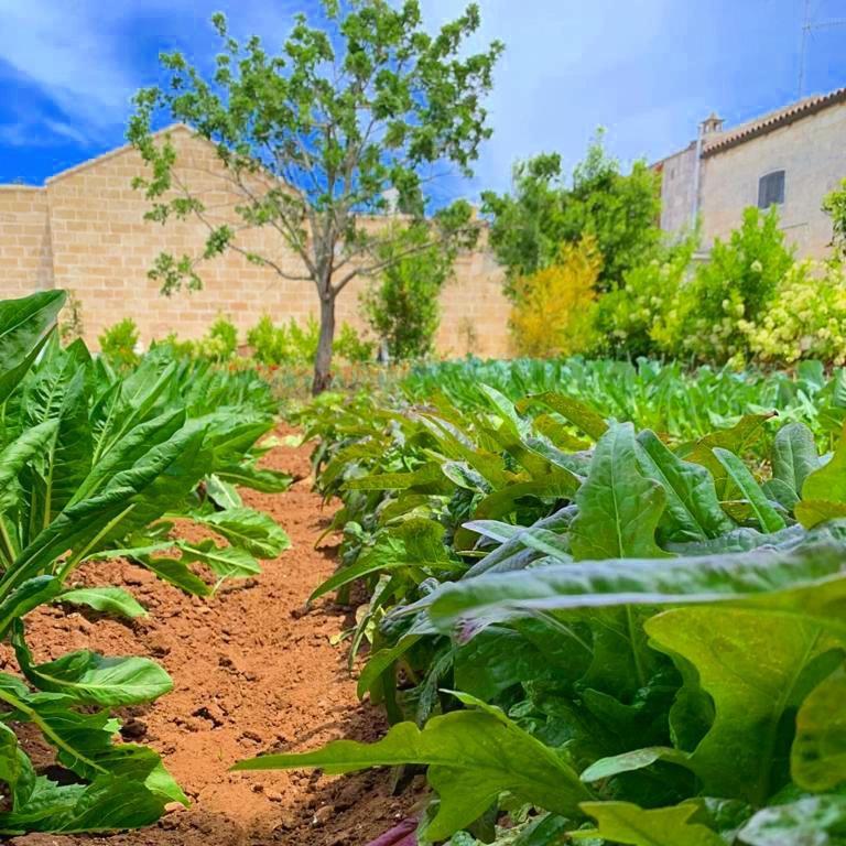 Masseria Vittoria Konuk evi Acaya Dış mekan fotoğraf