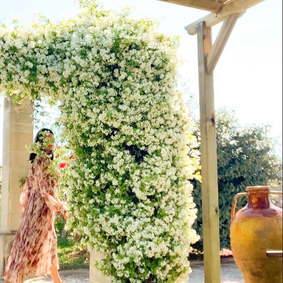 Masseria Vittoria Acaya Dış mekan fotoğraf